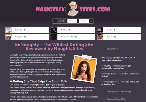Porn Review Blog