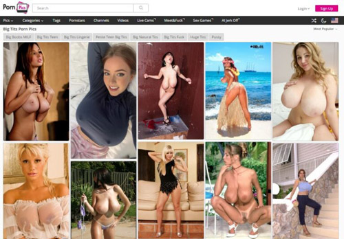 Big Tits Porn Pics